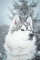 Alicia GUERIN - PHOTOS EN FOLIE