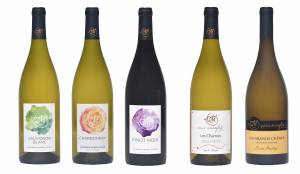 Alexandre LESCURE - ALEXANDRE LESCURE PHOTOGRAPHE